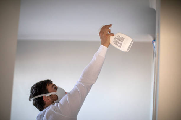 Best Crawl Space Mold Removal  in Summit Park, UT