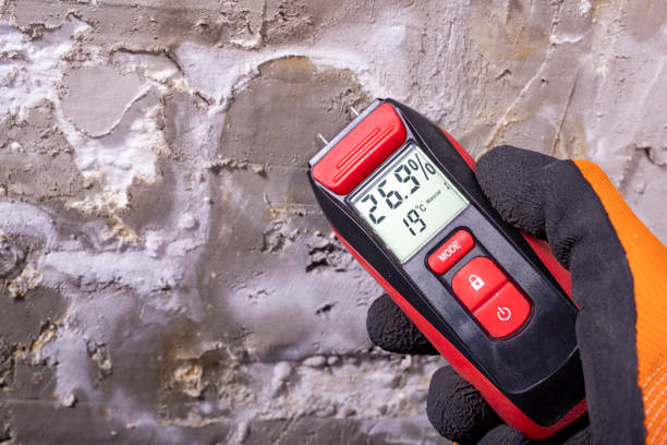 Best Mold Damage Repair  in Summit Park, UT