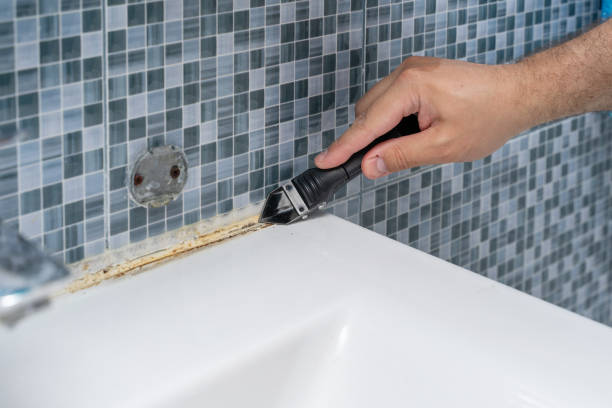 Best Home Mold Removal  in Summit Park, UT