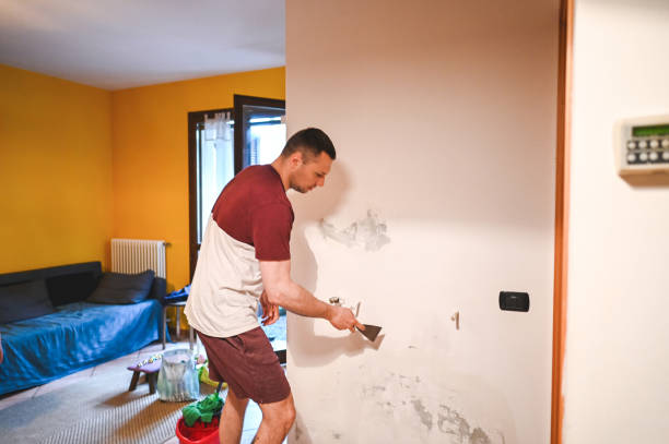 Summit Park, UT Mold Removal Company